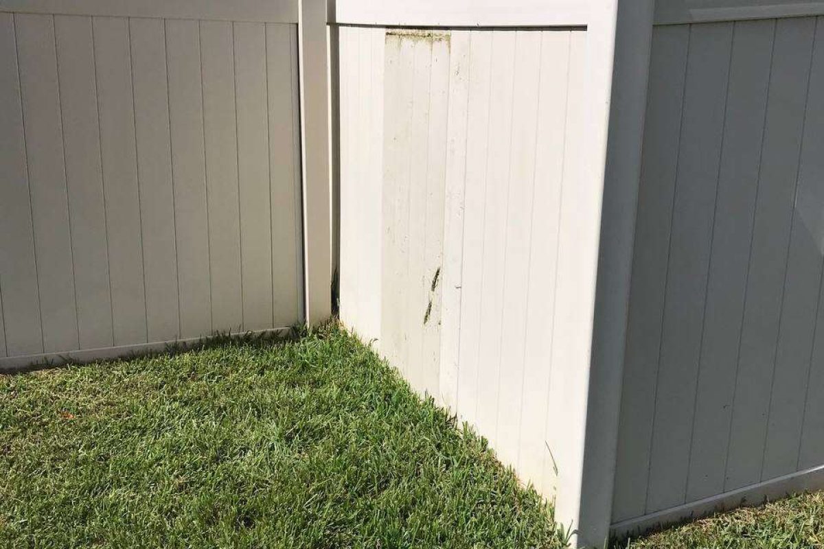 photo_2024-12-23_20-06-48