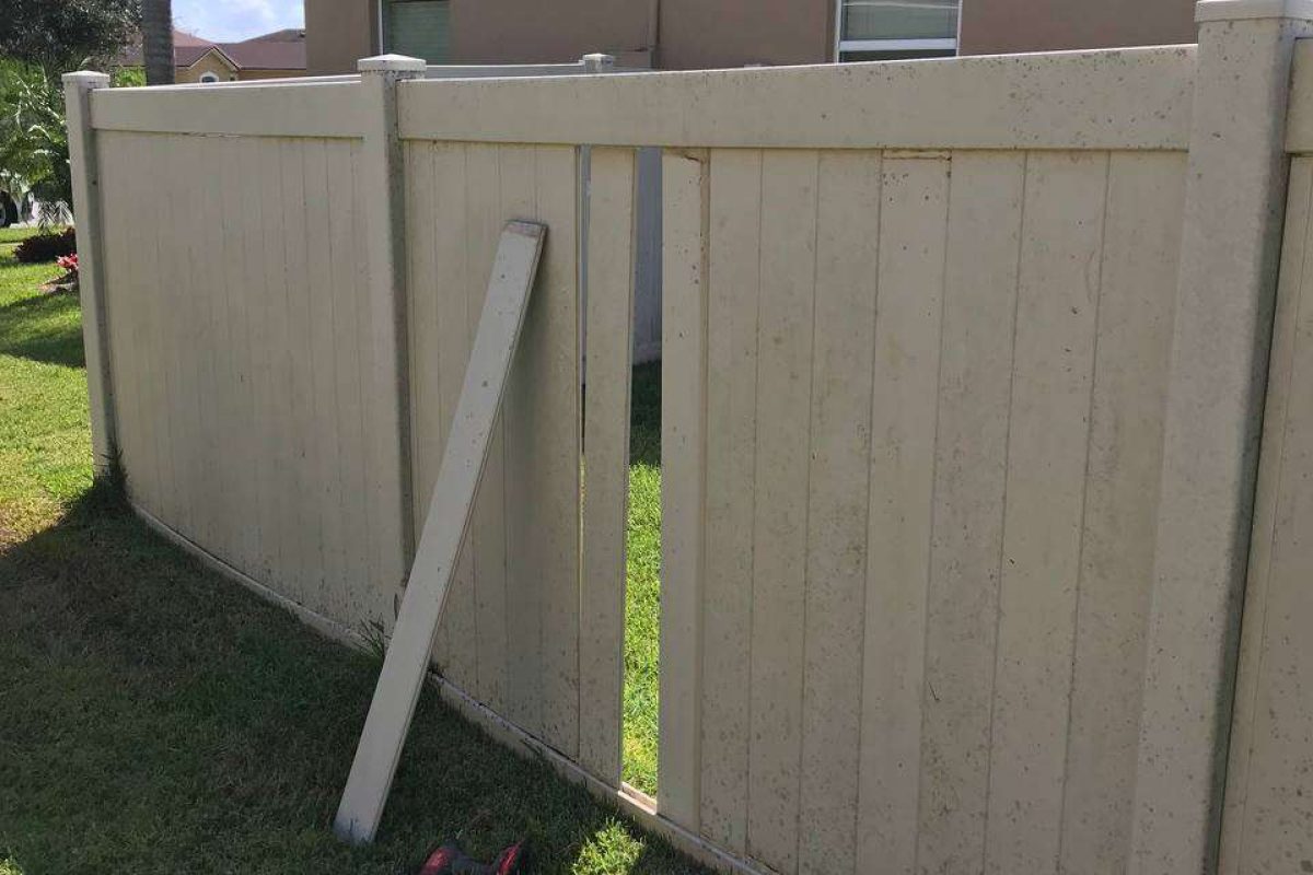 photo_2024-12-23_20-06-51