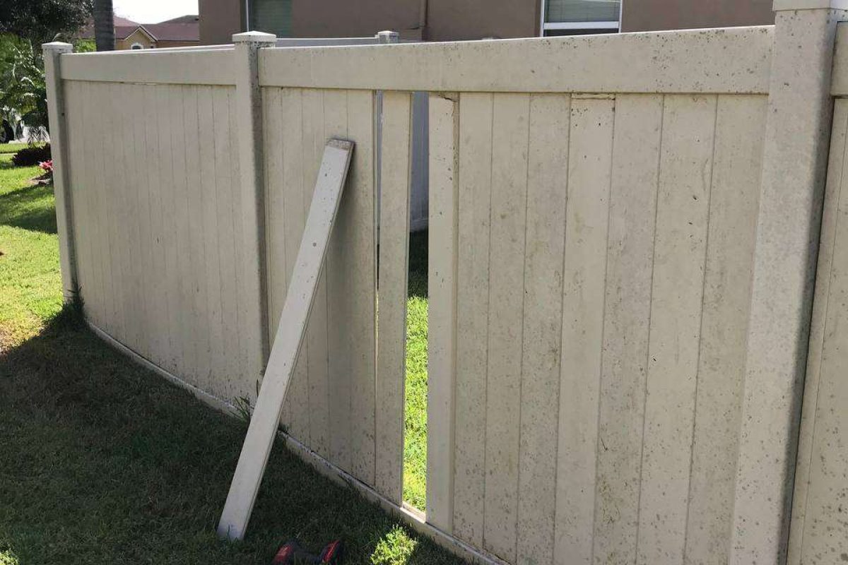 photo_2024-12-23_20-06-55