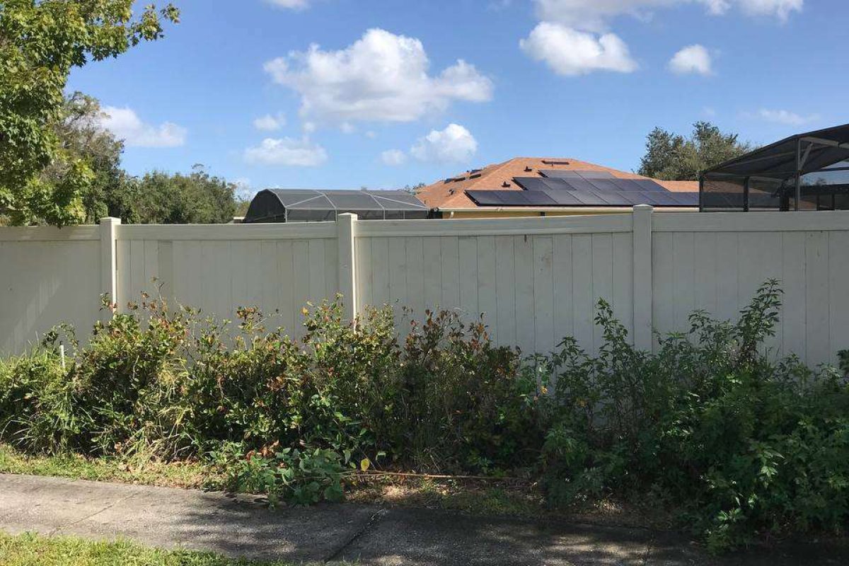 photo_2024-12-23_20-06-58