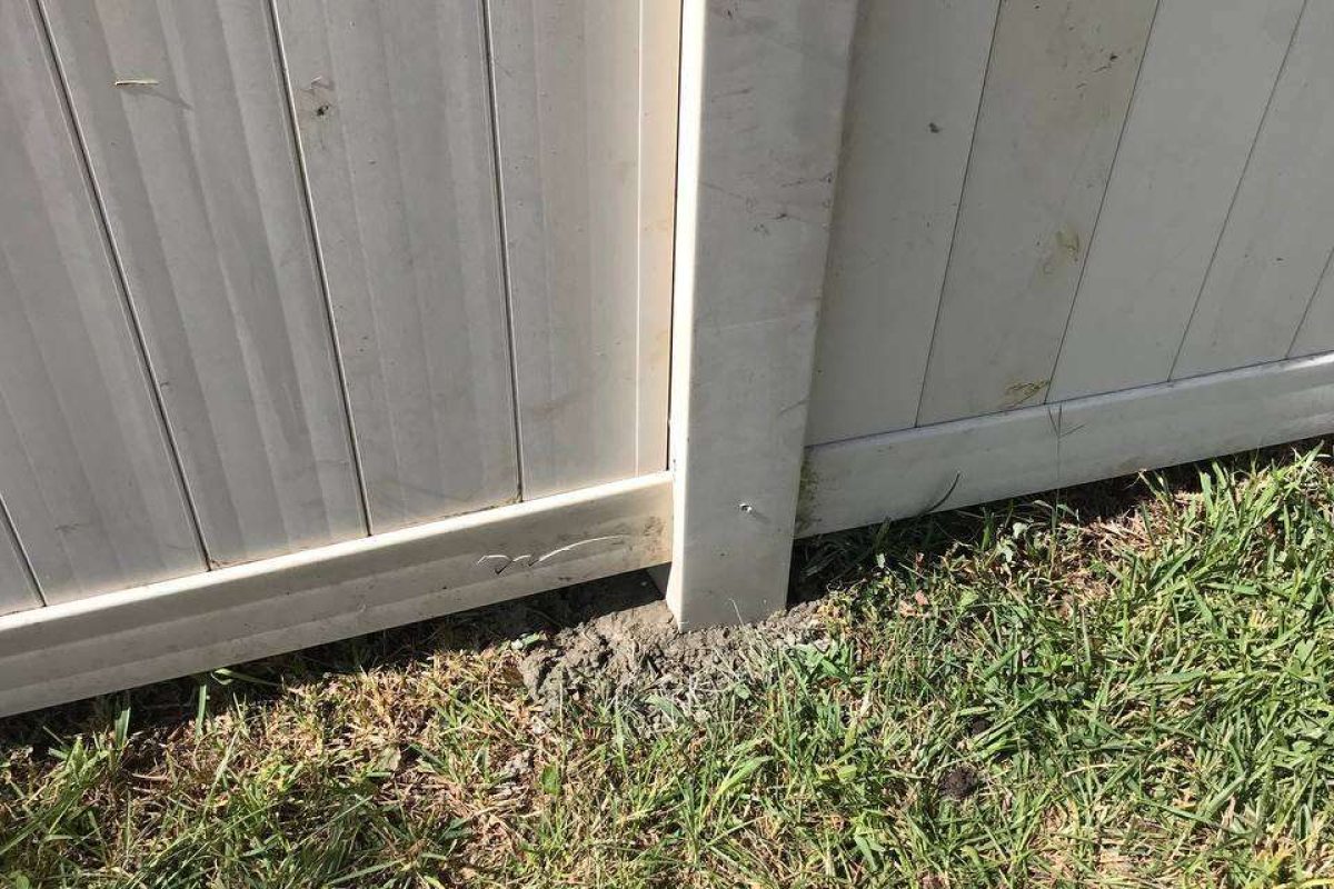 photo_2024-12-23_20-07-02