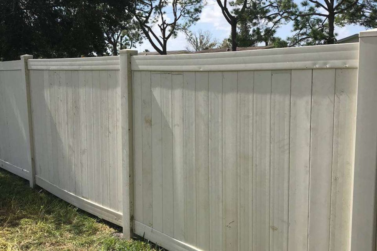 photo_2024-12-23_20-07-05