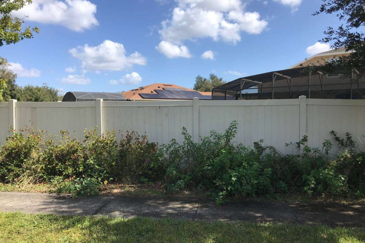 photo_2024-12-23_20-07-08