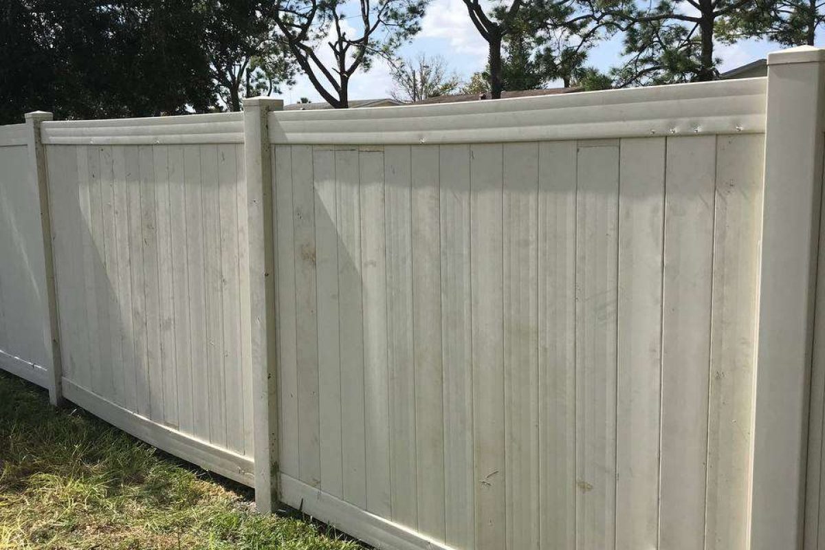 photo_2024-12-23_20-07-11