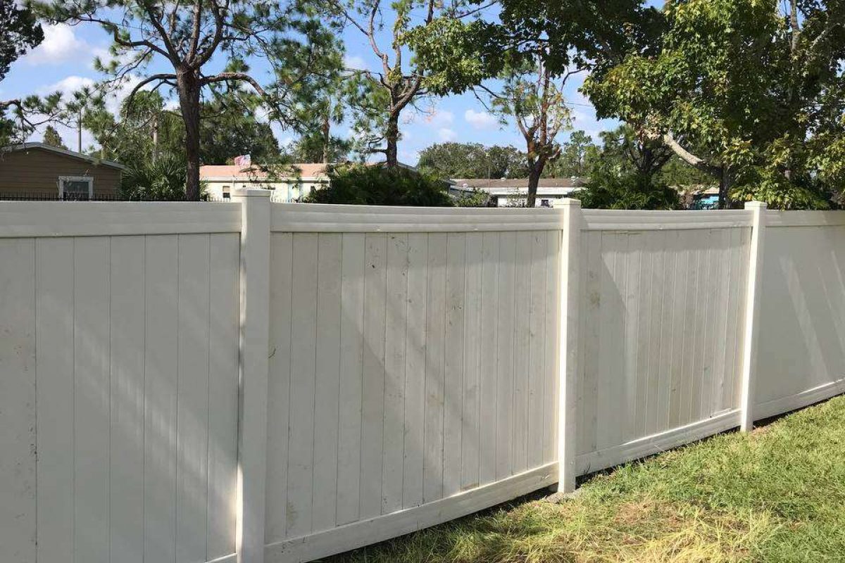 photo_2024-12-23_20-07-14