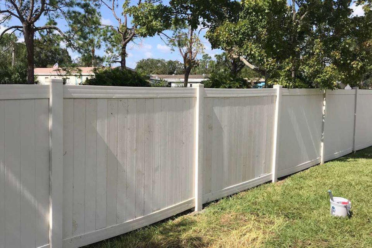 photo_2024-12-23_20-07-18