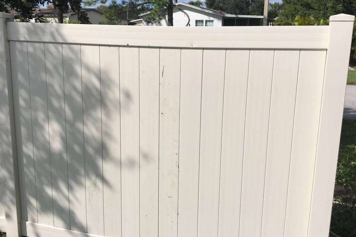 photo_2024-12-23_20-07-26