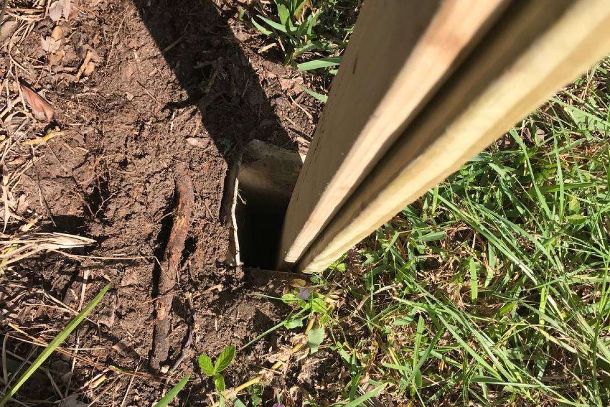 photo_2024-12-23_20-07-30