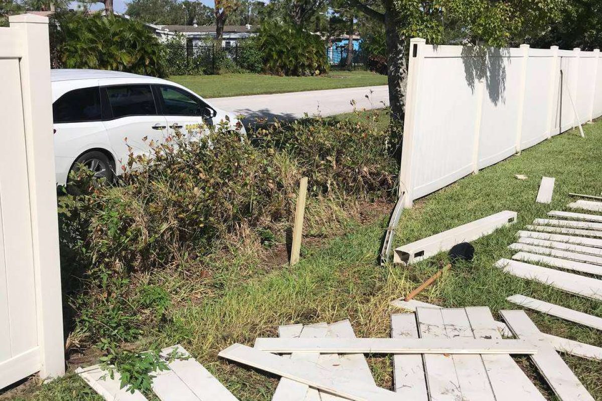 photo_2024-12-23_20-07-34