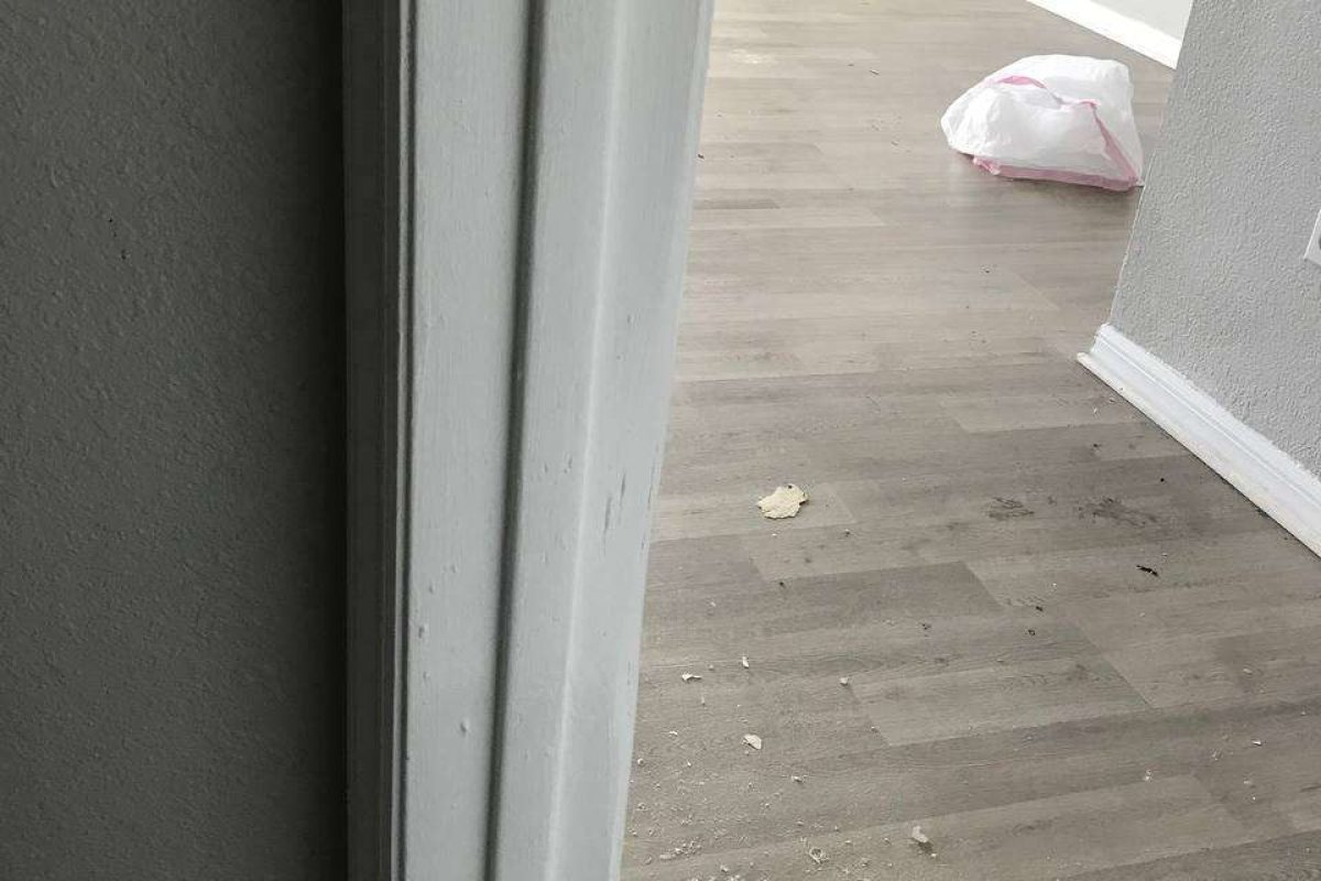 photo_2024-12-23_20-07-42