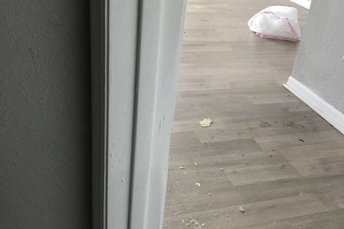 photo_2024-12-23_20-07-45