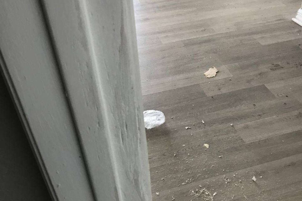 photo_2024-12-23_20-07-52