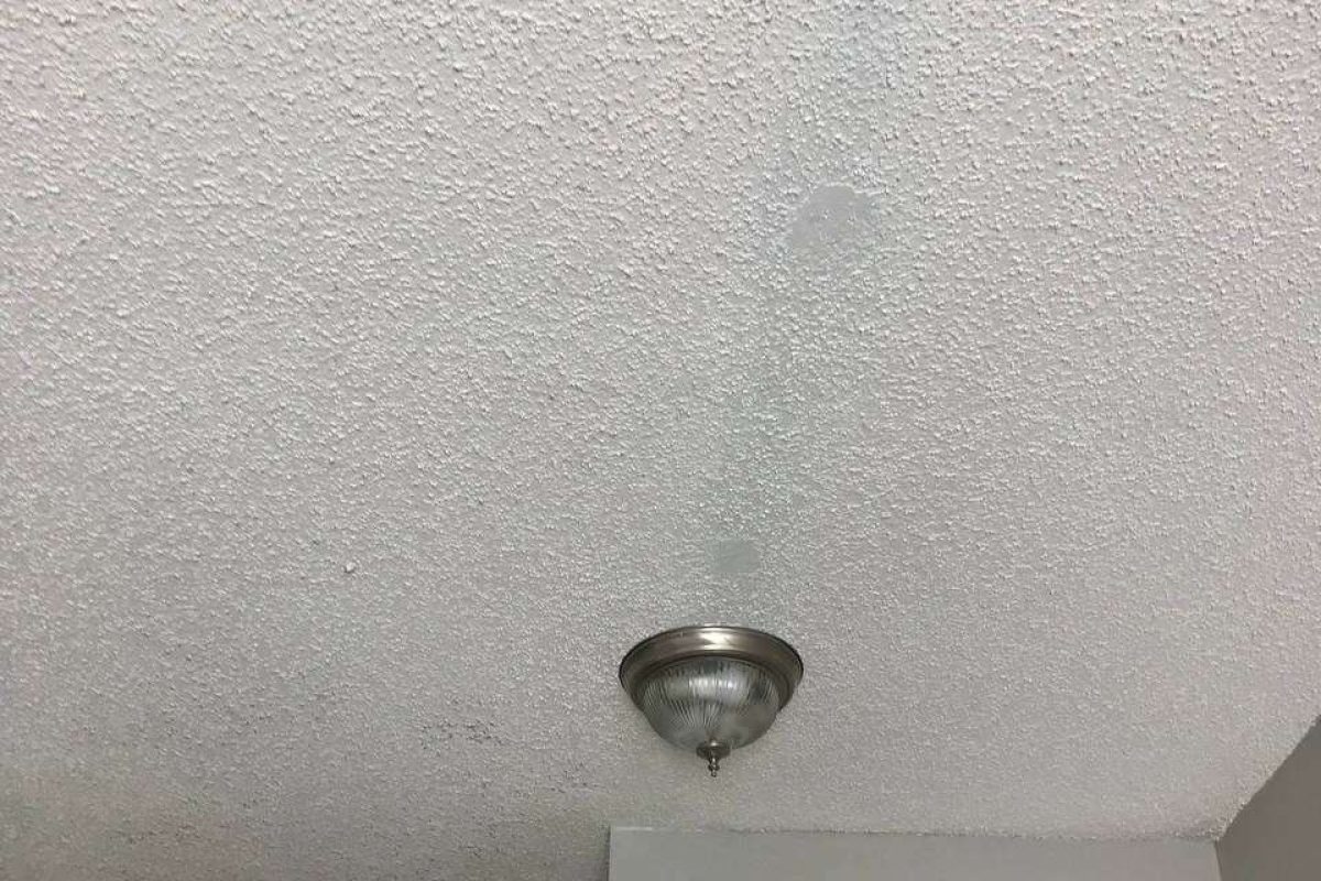 photo_2024-12-23_20-08-03