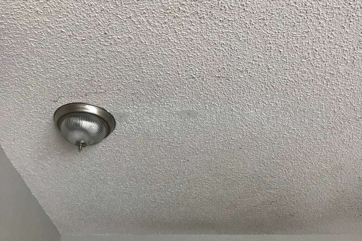 photo_2024-12-23_20-08-06