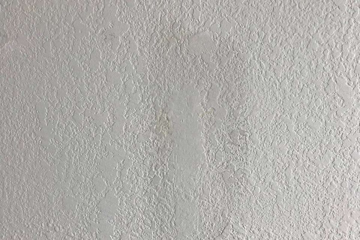 photo_2024-12-23_20-08-26