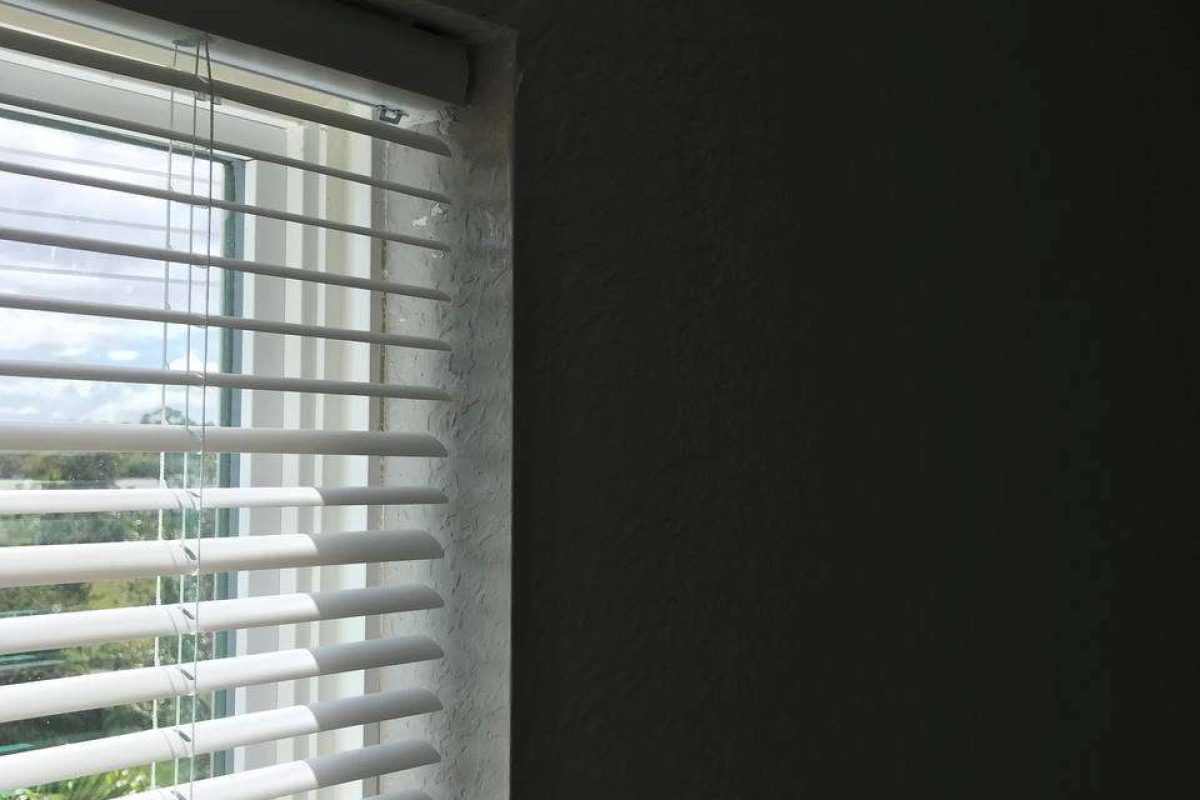 photo_2024-12-23_20-08-33