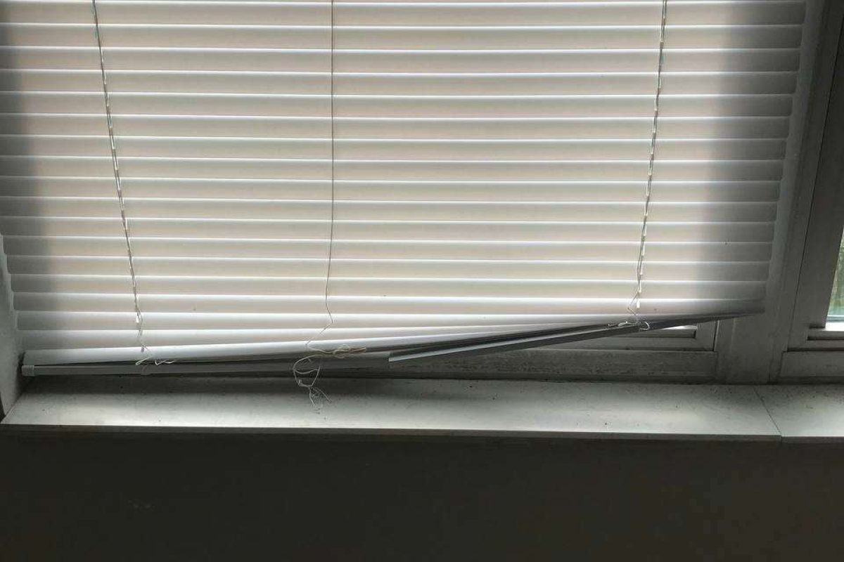 photo_2024-12-23_20-09-01