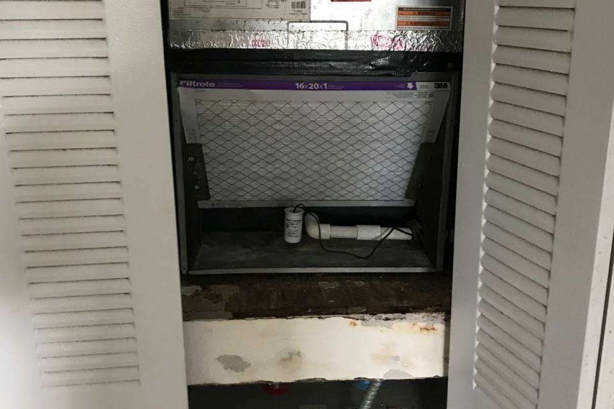 photo_2024-12-23_20-09-07