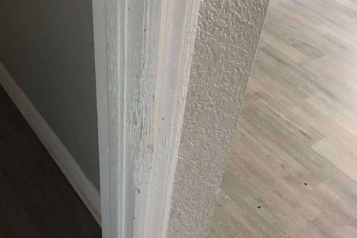 photo_2024-12-23_20-09-30