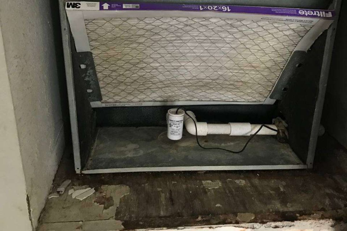 photo_2024-12-23_20-09-37