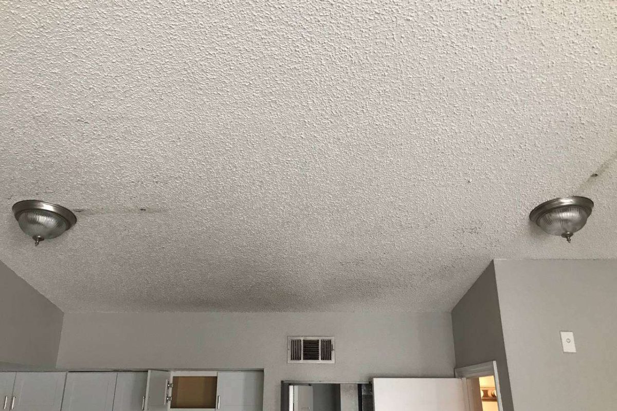 photo_2024-12-23_20-09-41