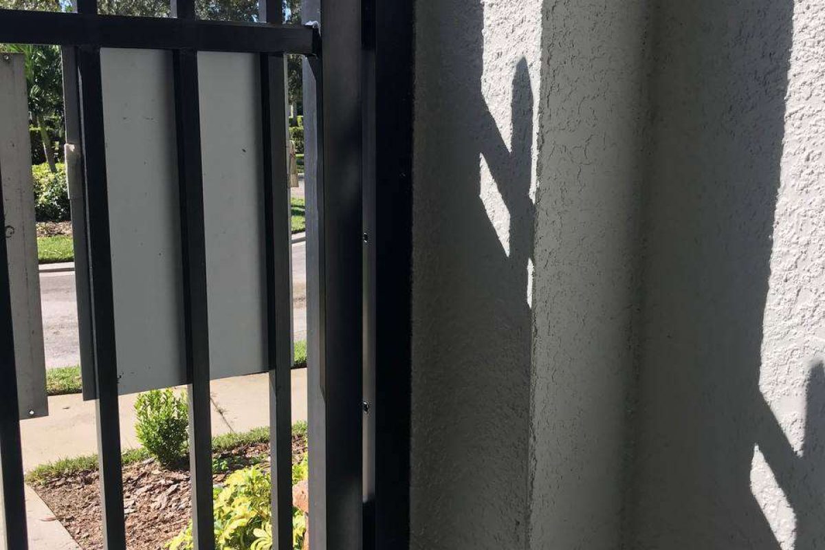 photo_2024-12-23_20-10-06