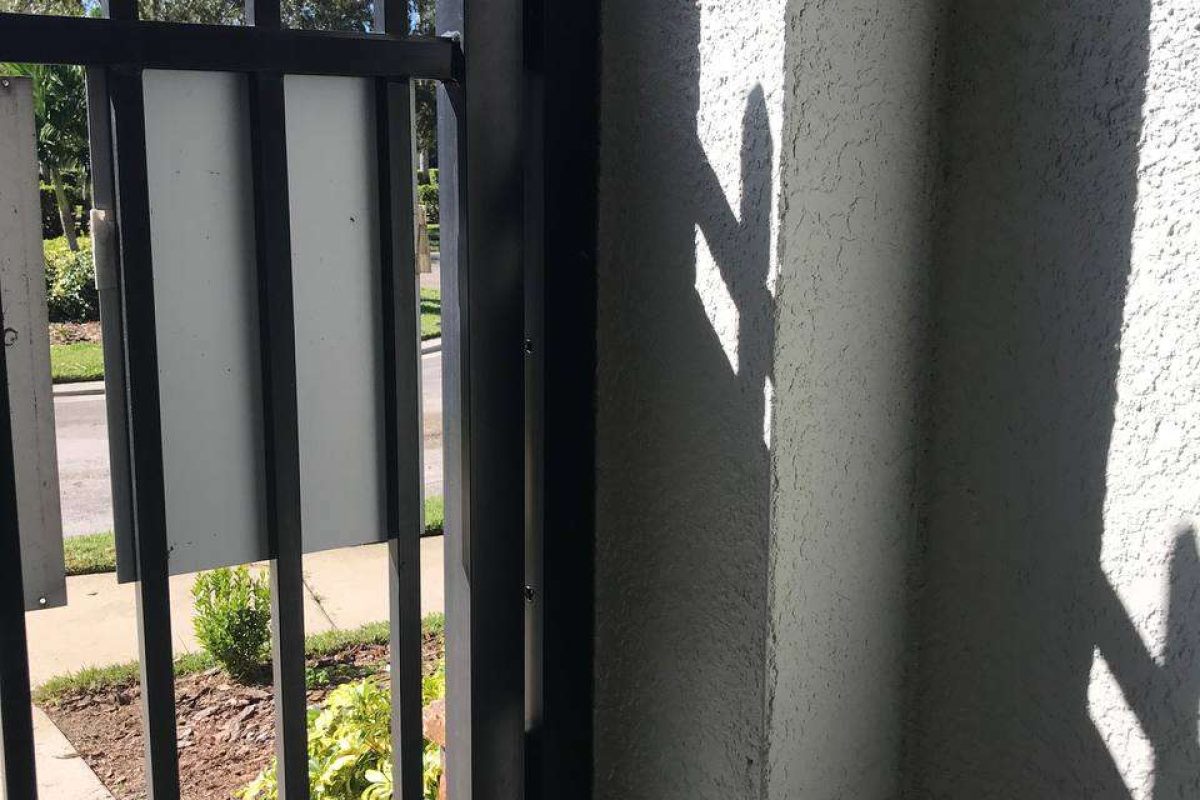 photo_2024-12-23_20-10-09