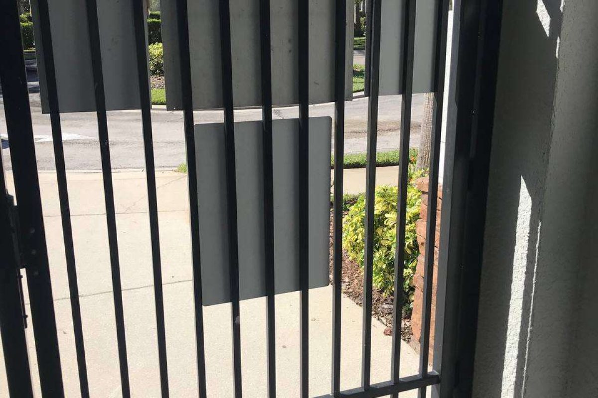 photo_2024-12-23_20-10-19