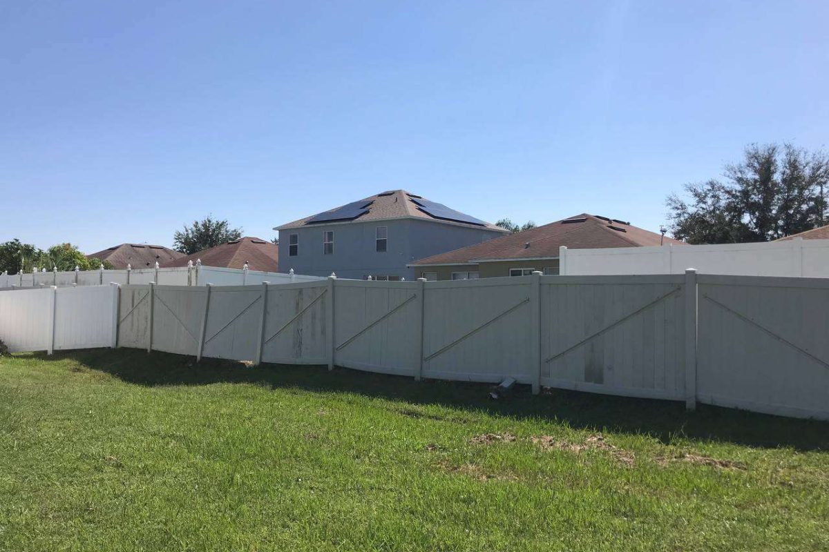 photo_2024-12-23_20-10-31