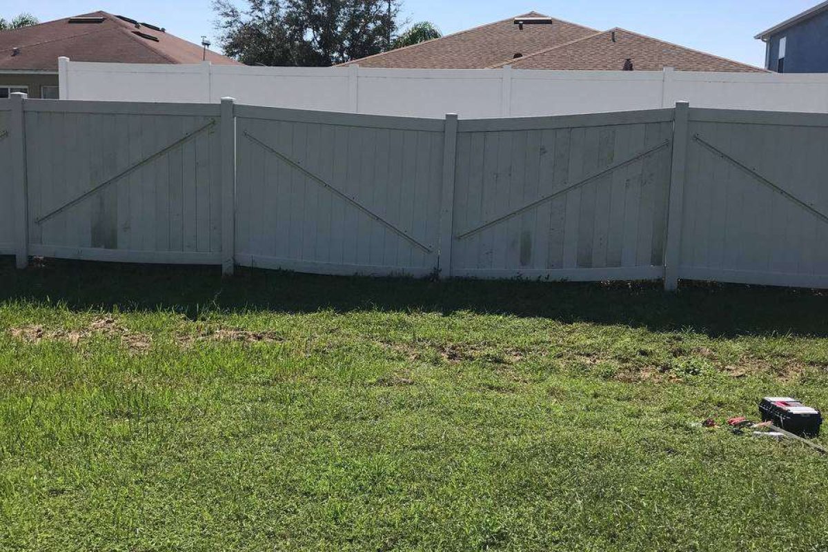 photo_2024-12-23_20-10-43