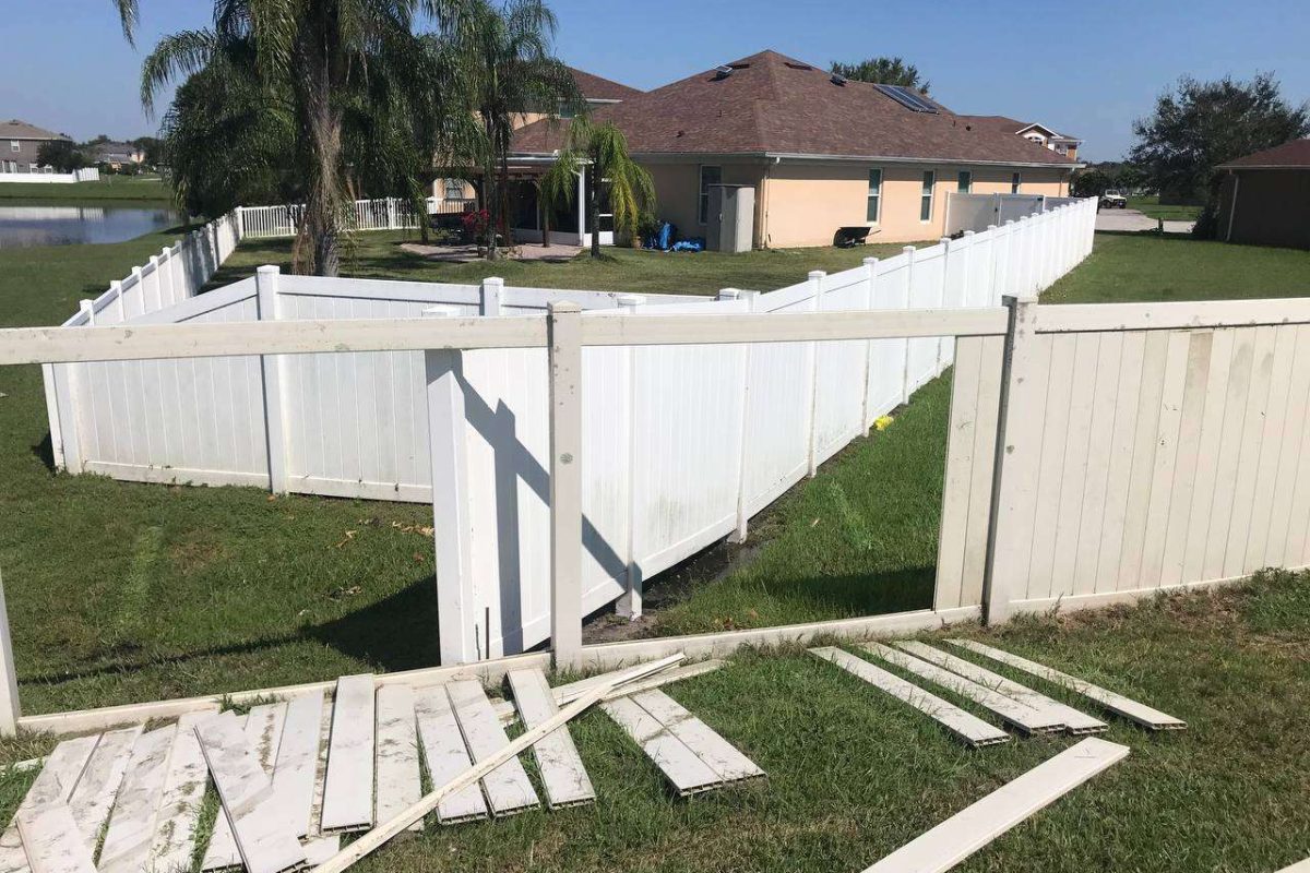 photo_2024-12-23_20-10-46