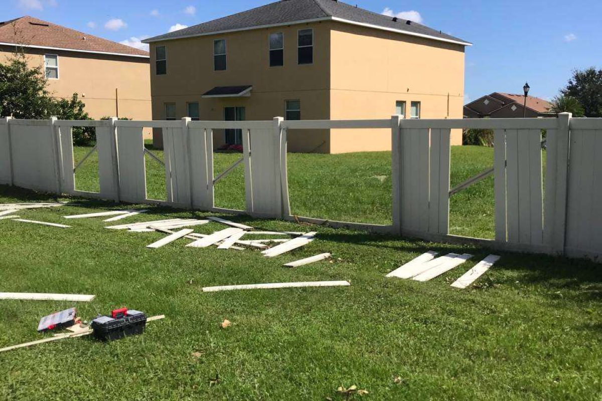 photo_2024-12-23_20-10-53