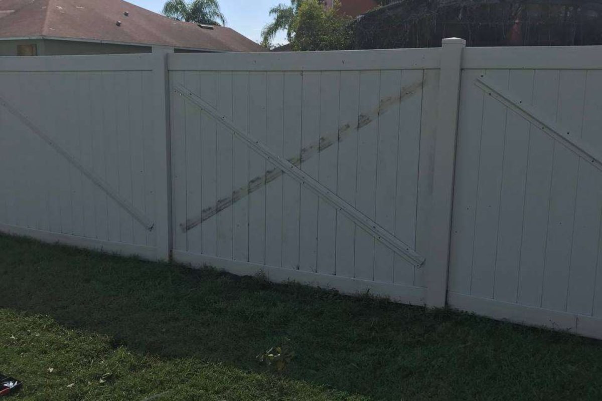 photo_2024-12-23_20-10-56