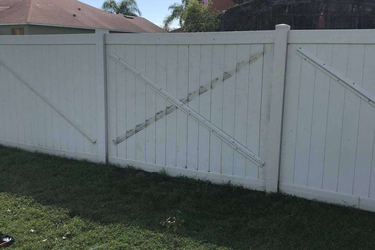 photo_2024-12-23_20-10-59