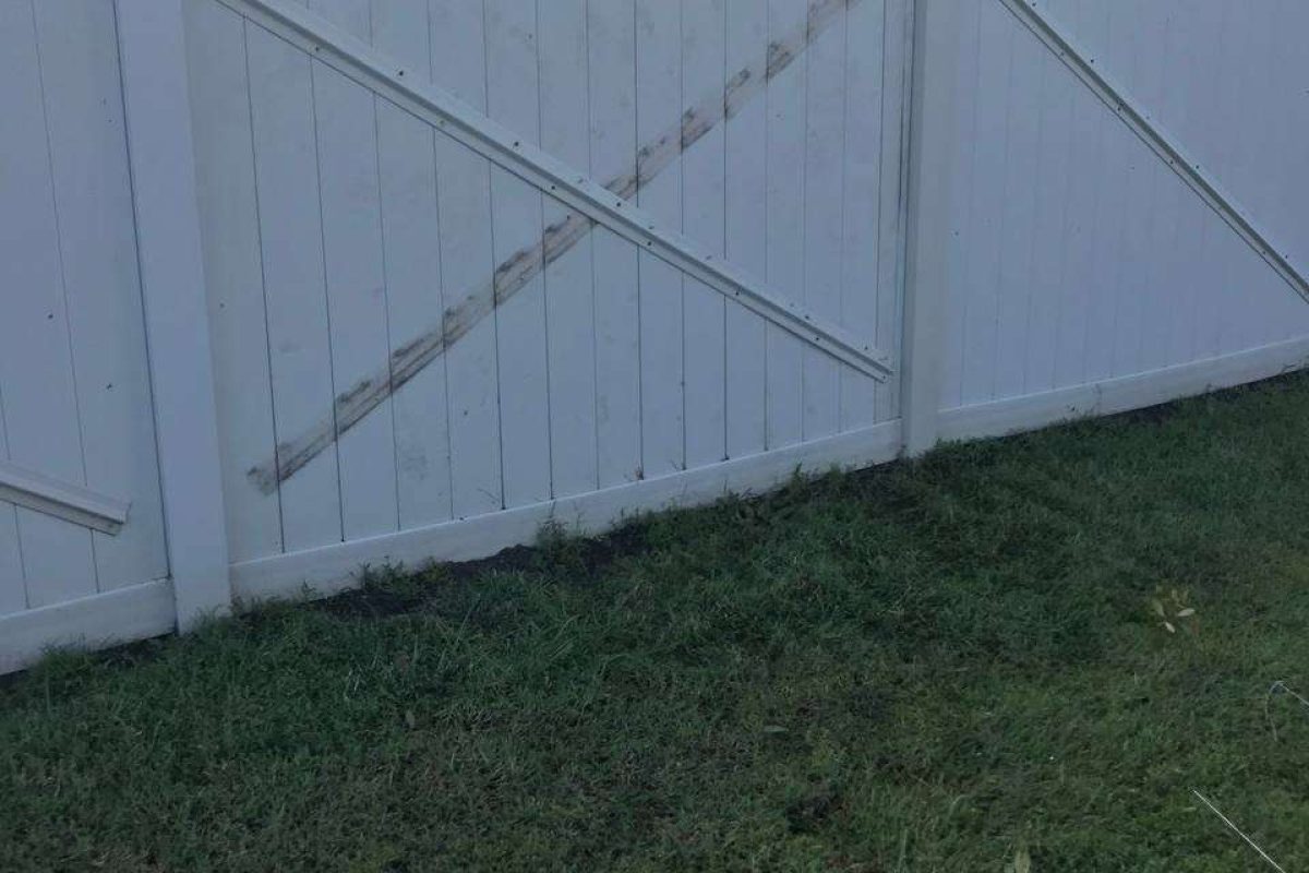 photo_2024-12-23_20-11-02