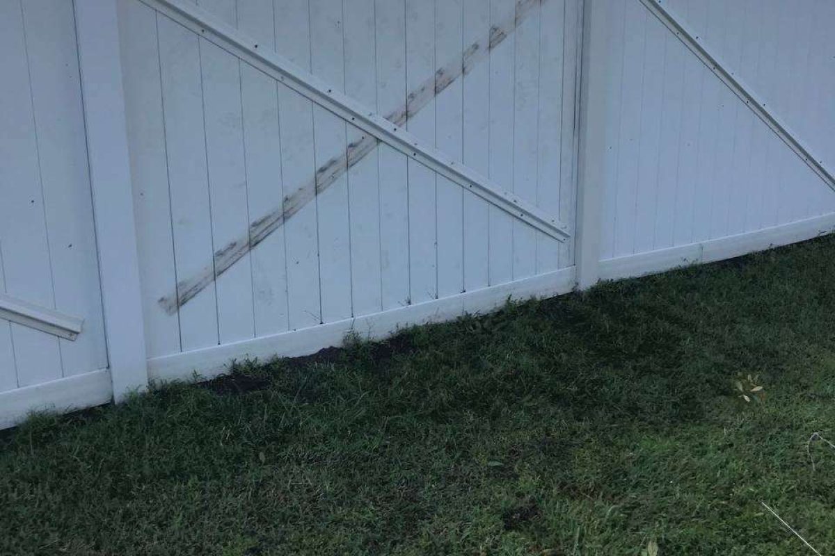 photo_2024-12-23_20-11-05