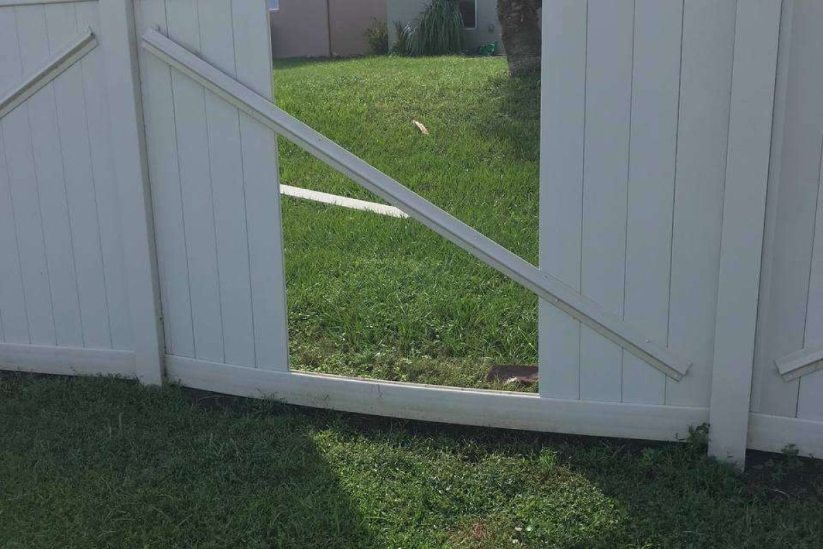 photo_2024-12-23_20-11-08