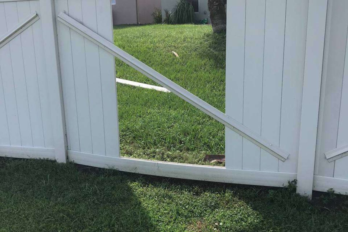 photo_2024-12-23_20-11-11