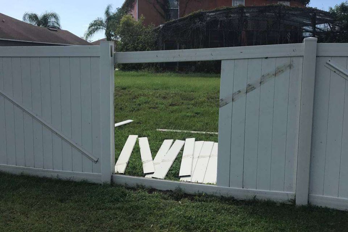 photo_2024-12-23_20-11-14