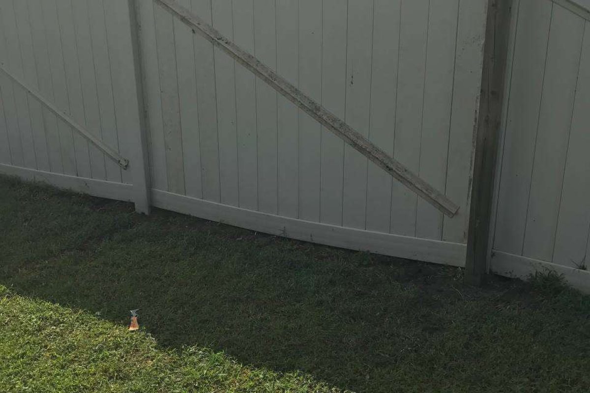 photo_2024-12-23_20-11-18