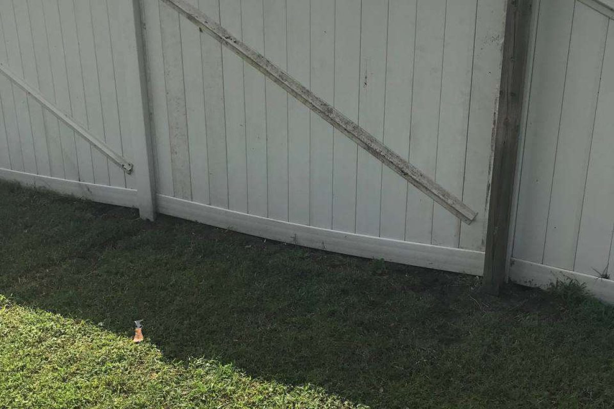 photo_2024-12-23_20-11-21