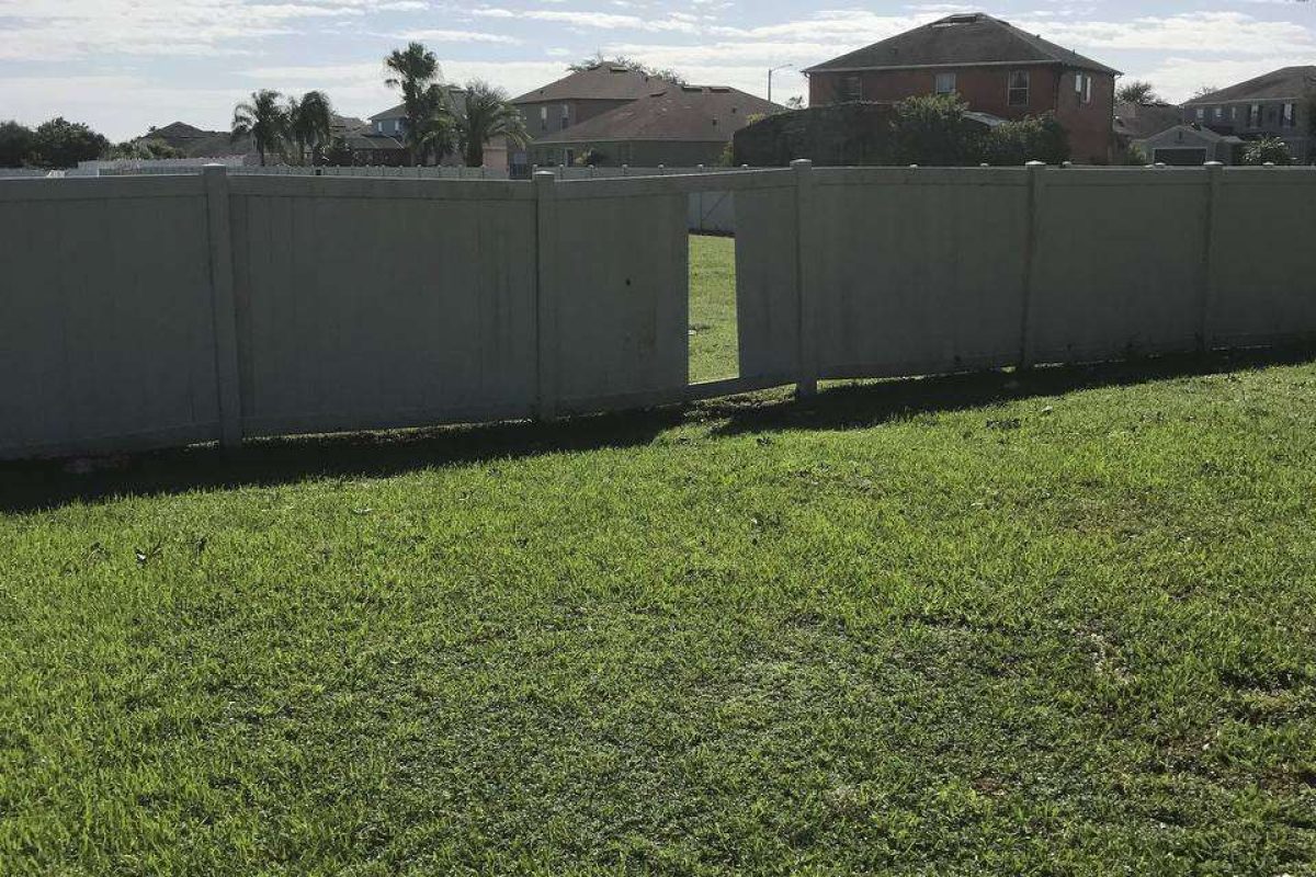 photo_2024-12-23_20-11-28