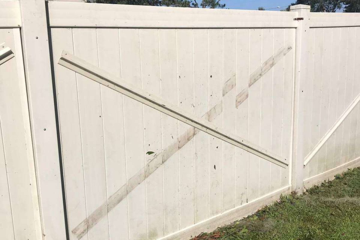 photo_2024-12-23_20-11-31