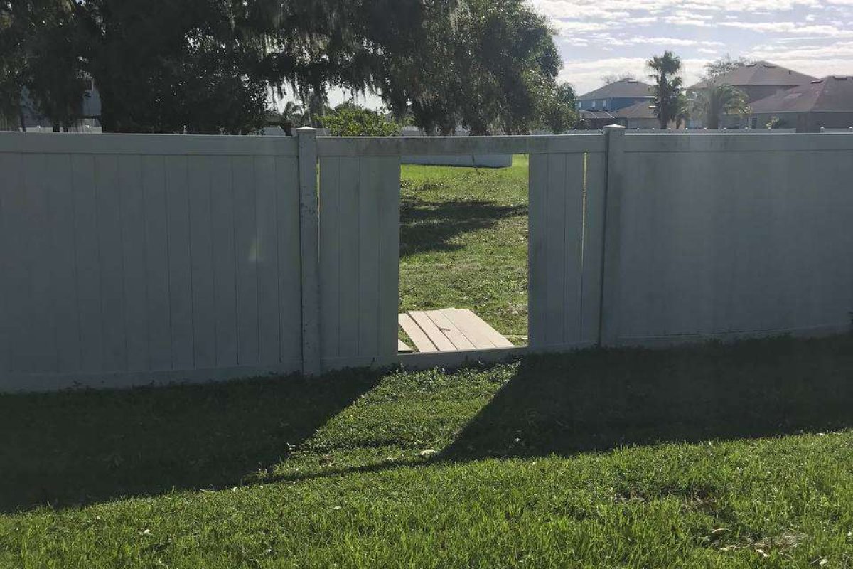 photo_2024-12-23_20-11-34