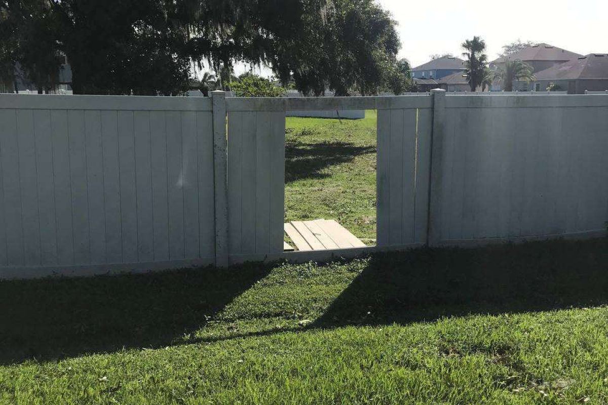 photo_2024-12-23_20-11-37