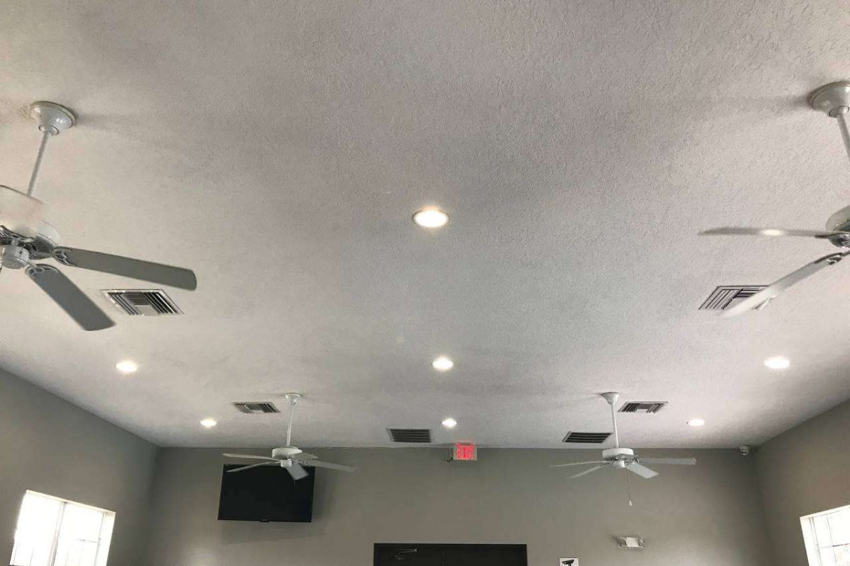 photo_2024-12-23_20-11-53