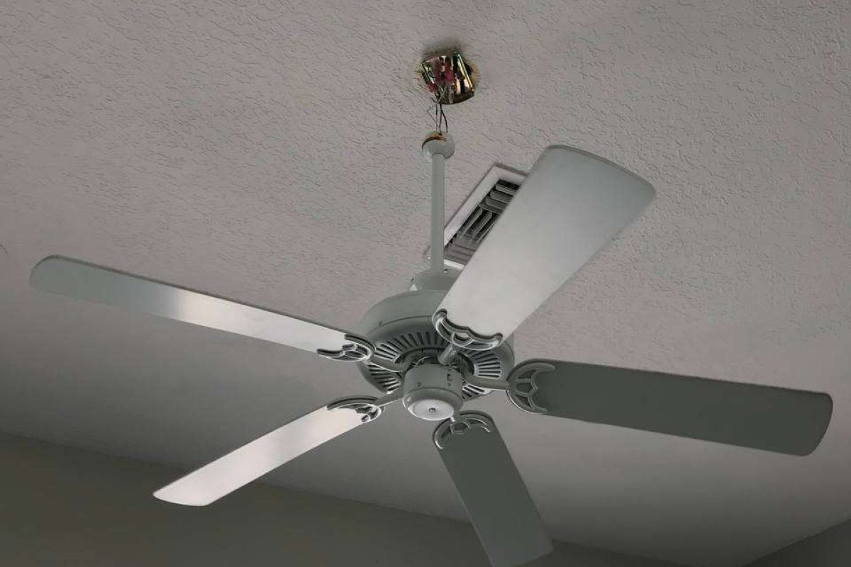 photo_2024-12-23_20-11-57