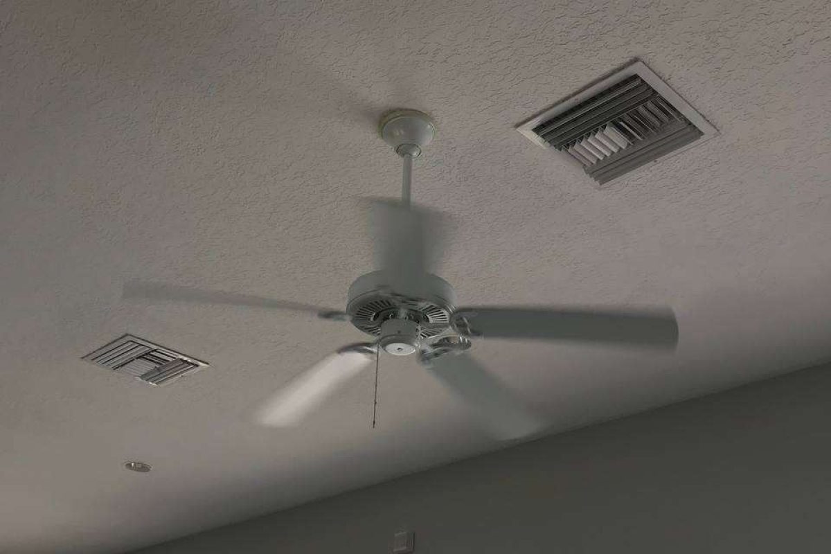 photo_2024-12-23_20-12-00