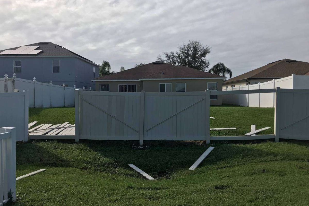 photo_2024-12-23_20-12-07