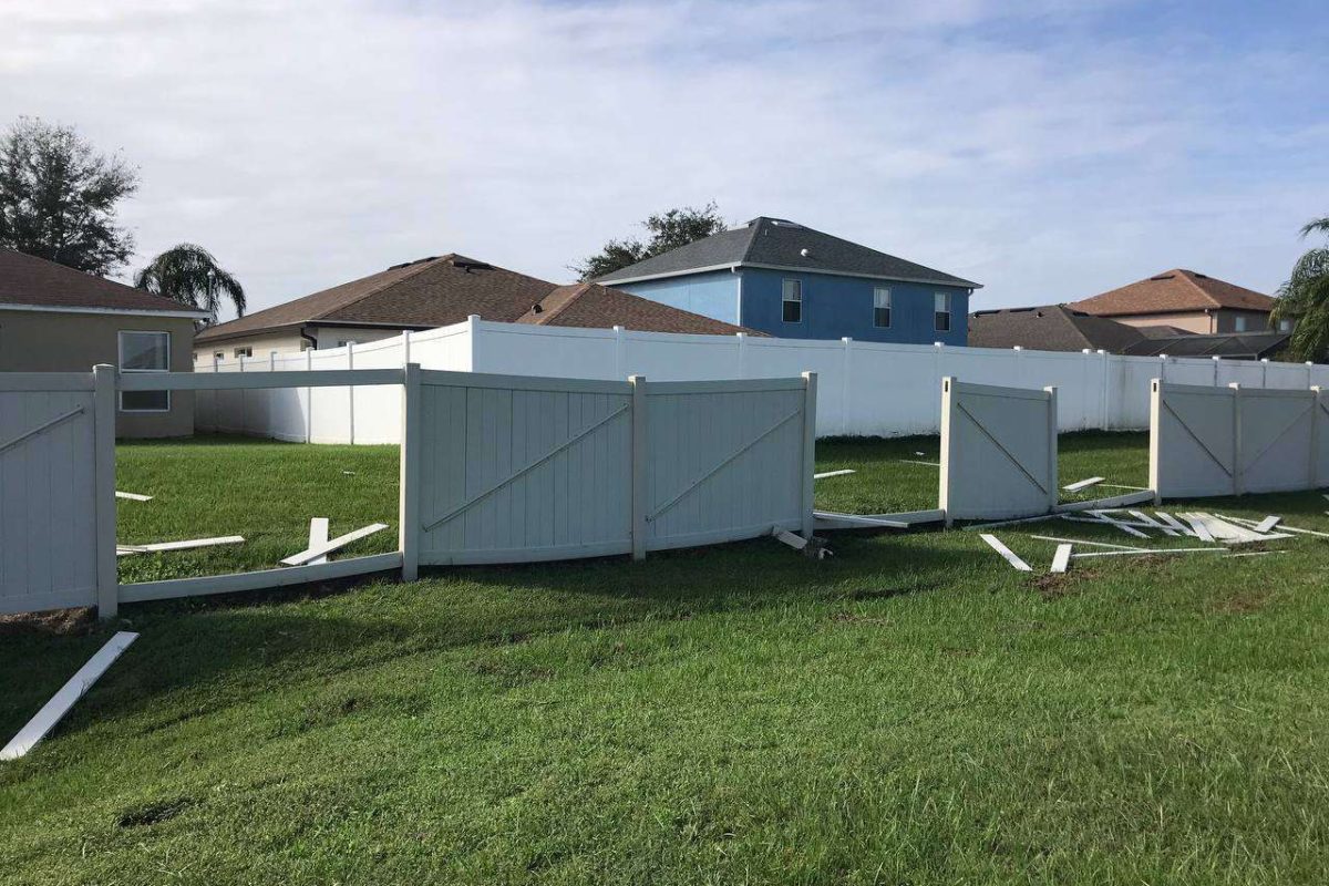 photo_2024-12-23_20-12-10